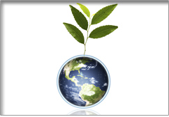 Complying with environmental laws.