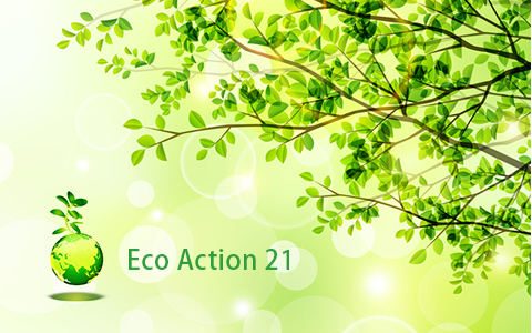 eco action21