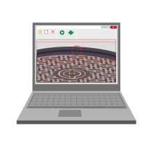 Step Search 2