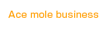 Ace mole business