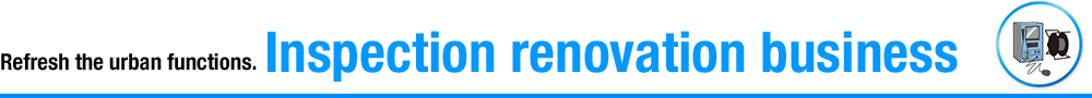 Inspection renovation business